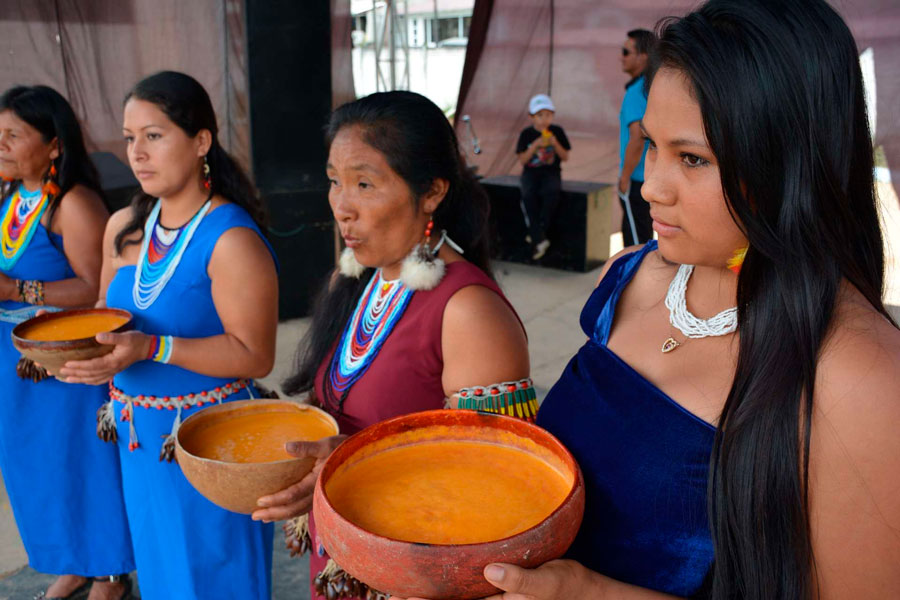 EL origen indigena de la Chicha