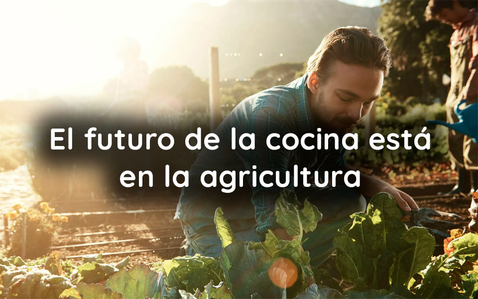 El futuro de la cocina está en la agricultura