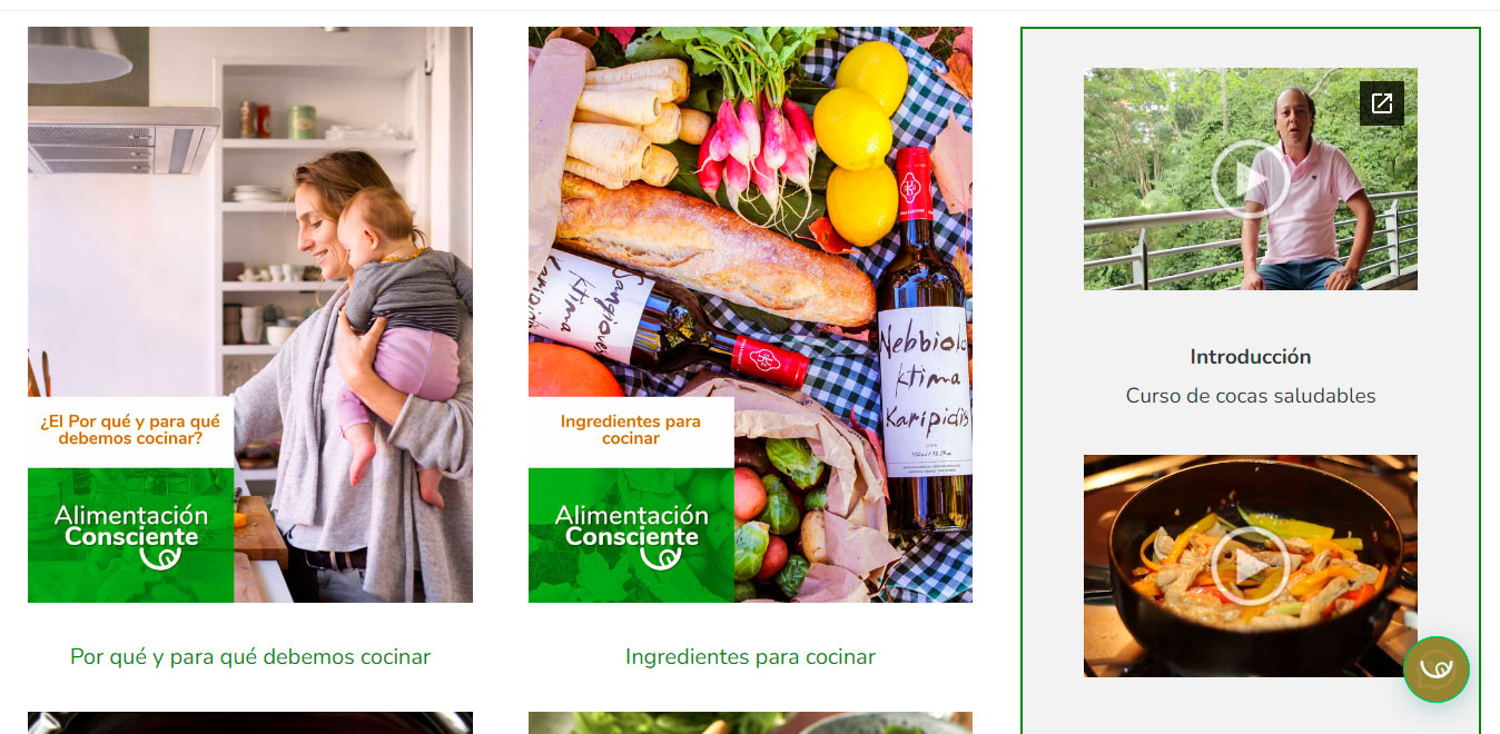 Como se ve nuestro curso virtual de cocas saludables