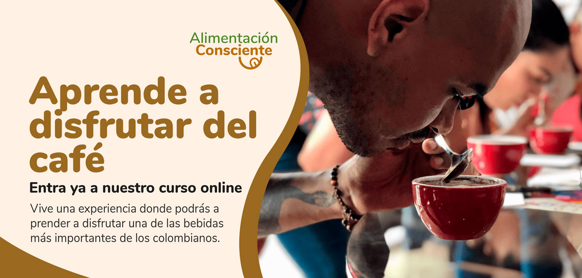 Aprende a disfrutar el café con nuestro curso de cata de café