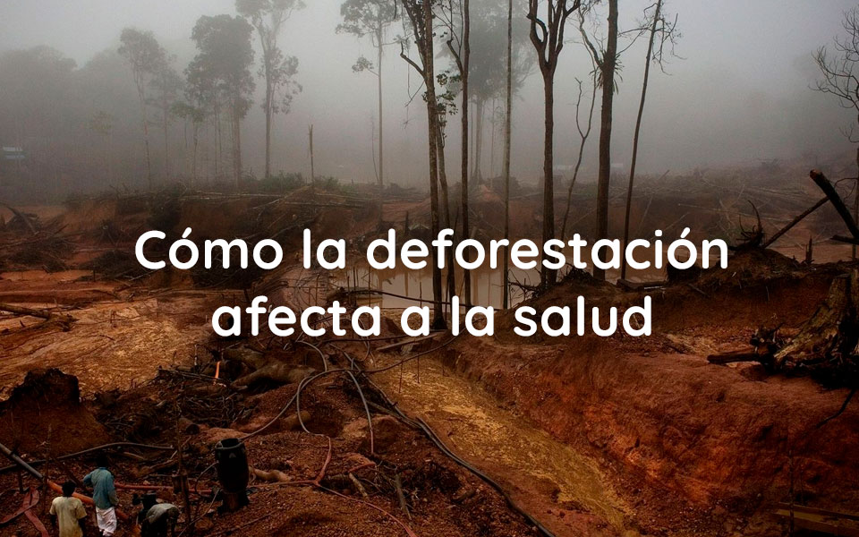 Cómo la deforestación afecta a la salud