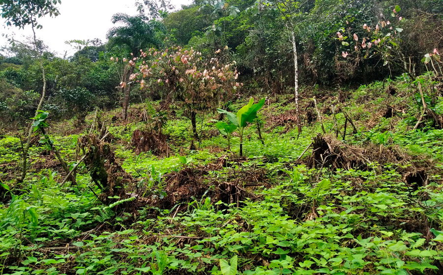 La naturaleza del oriente antioqueño