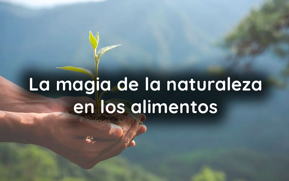 La magia de la naturaleza en los alimentos