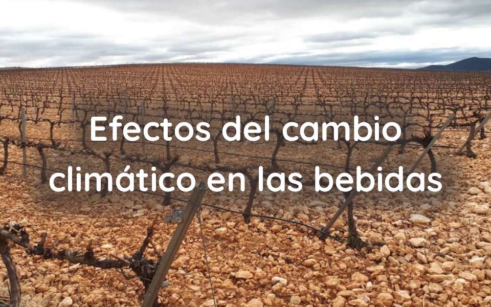 Efectos del cambio climático en las bebidas