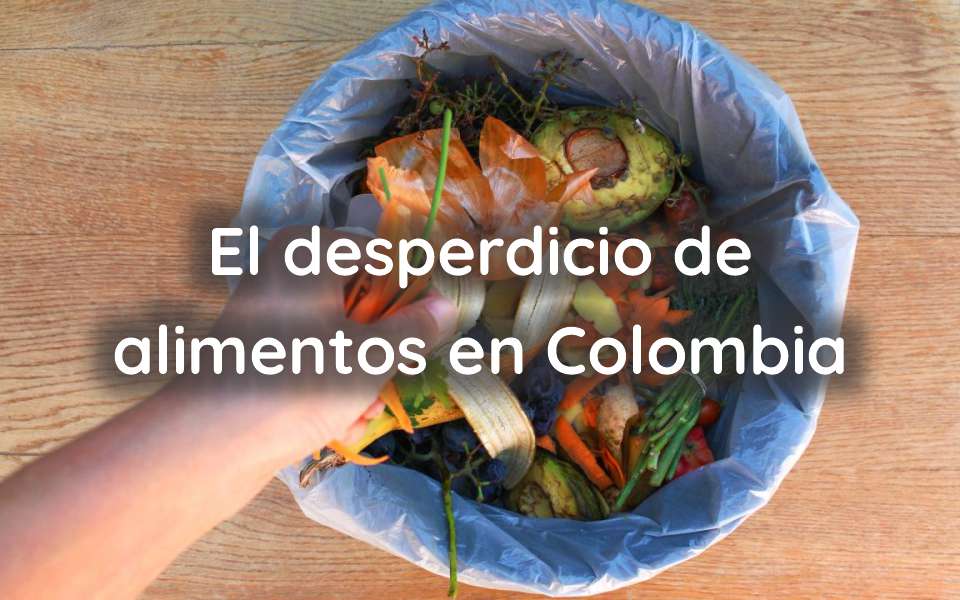 El desperdicio de alimentos en Colombia