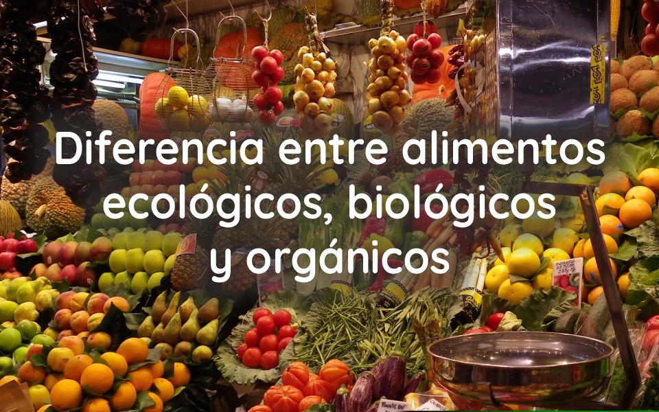 Diferencia entre alimentos ecológicos, biológicos y organicos