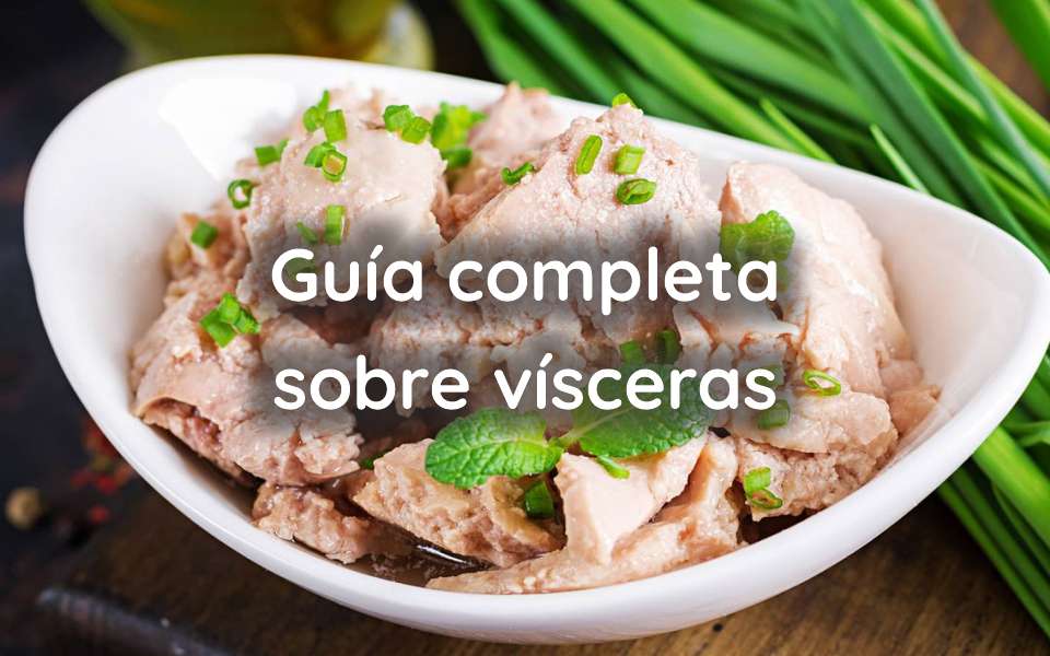 Guía completa sobre vísceras