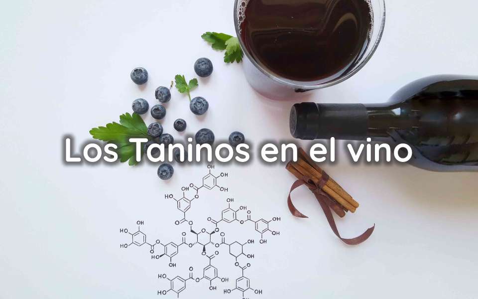 Los Taninos en el vino