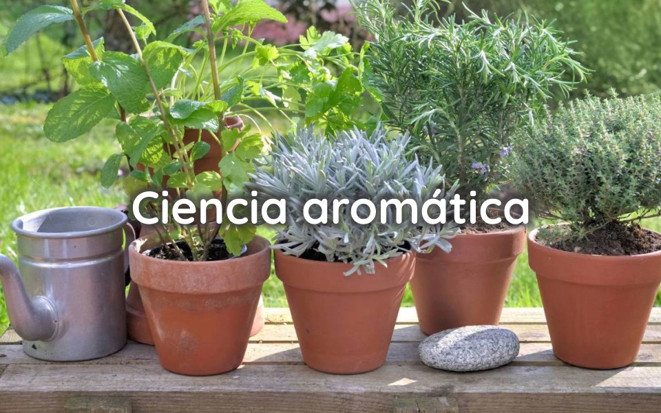Ciencia aromática