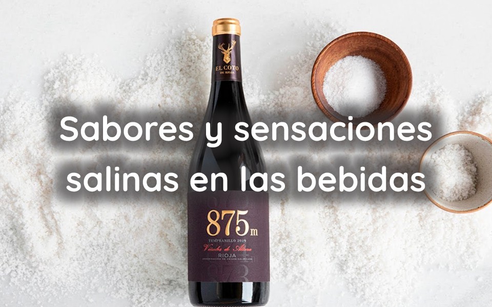 Sabores y sensaciones salinas en las bebidas