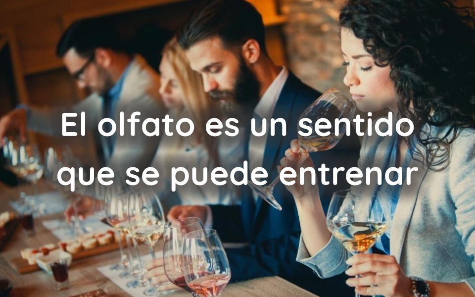 El sentido del olfato es entrenable