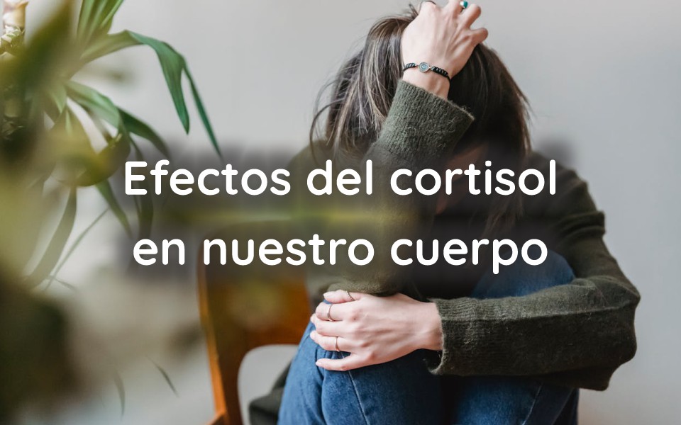 Efectos del cortisol en nuestro cuerpo
