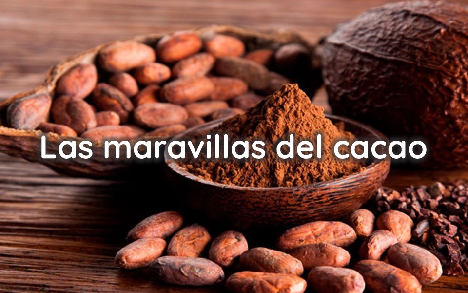 Las maravillas del cacao