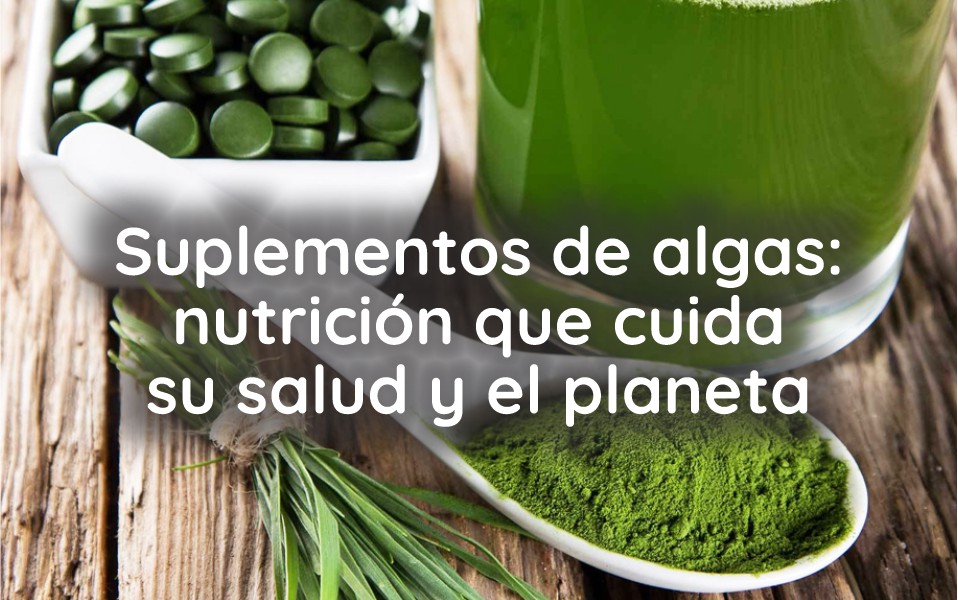 Suplementos de algas: nutrición que cuida su salud y el planeta