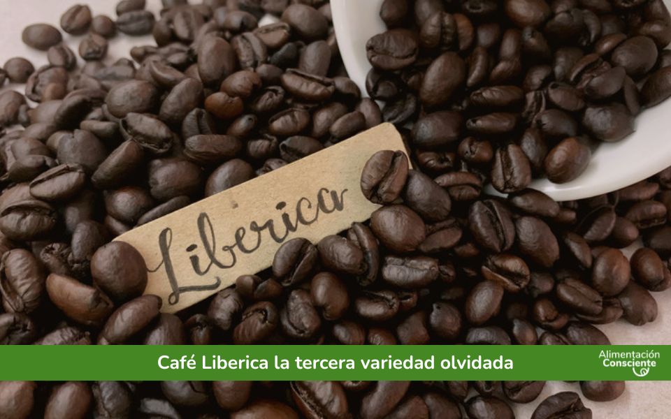 Café Liberica la tercera variedad olvidada
