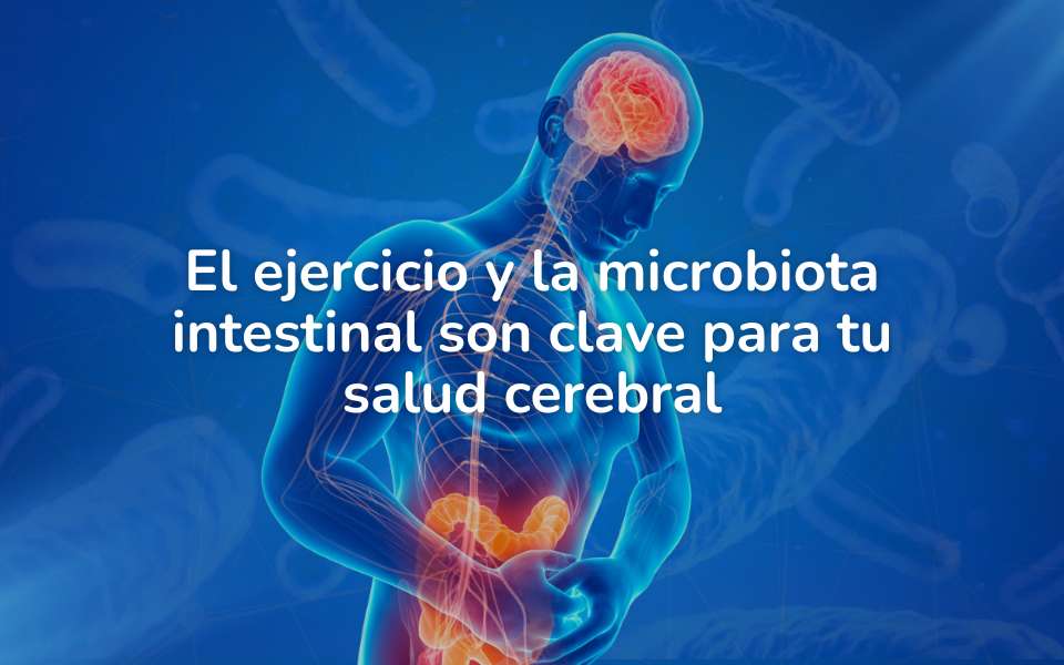 El ejercicio y la microbiota intestinal son clave para tu salud cerebral