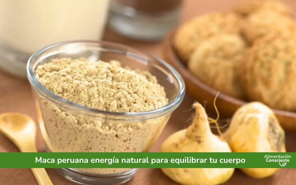 Maca peruana energía natural para equilibrar tu cuerpo