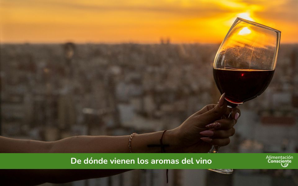 De dónde vienen los aromas del vino