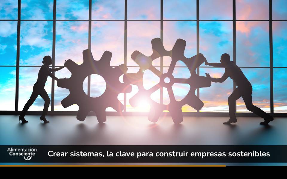 Crear sistemas, la clave para construir hábitos y empresas sostenibles