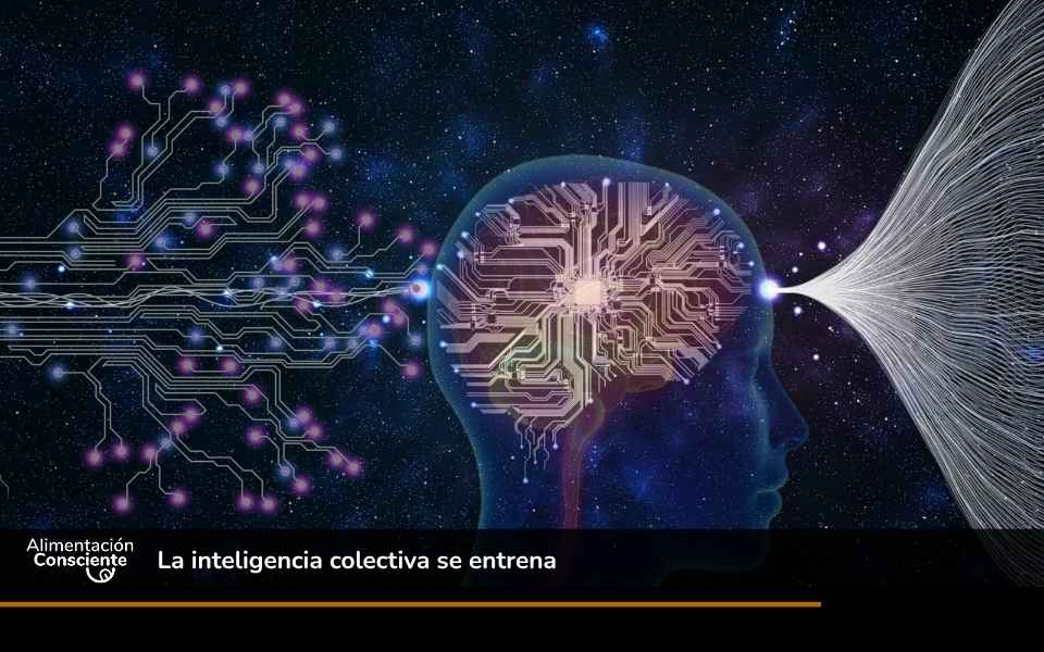 La inteligencia colectiva se entrena
